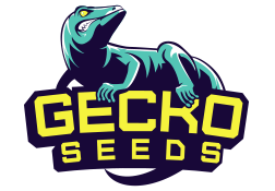 Gecko Seeds