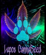 Lupos CannaSeed