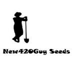 New420Guy Seeds